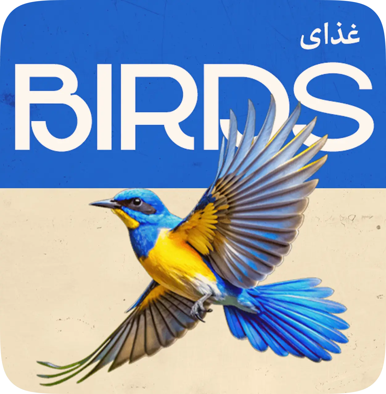 پرندگان